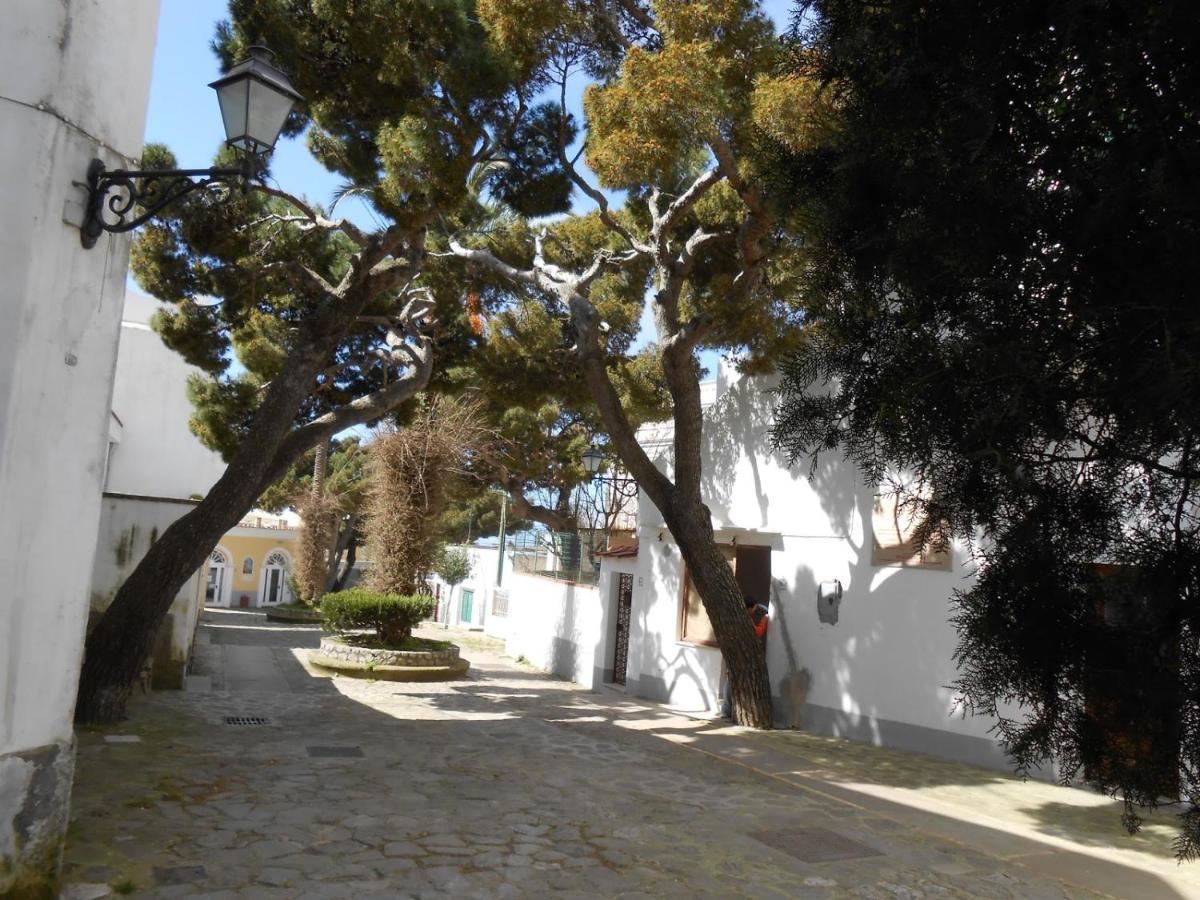 Guest House Le Boffe Anacapri  Zewnętrze zdjęcie